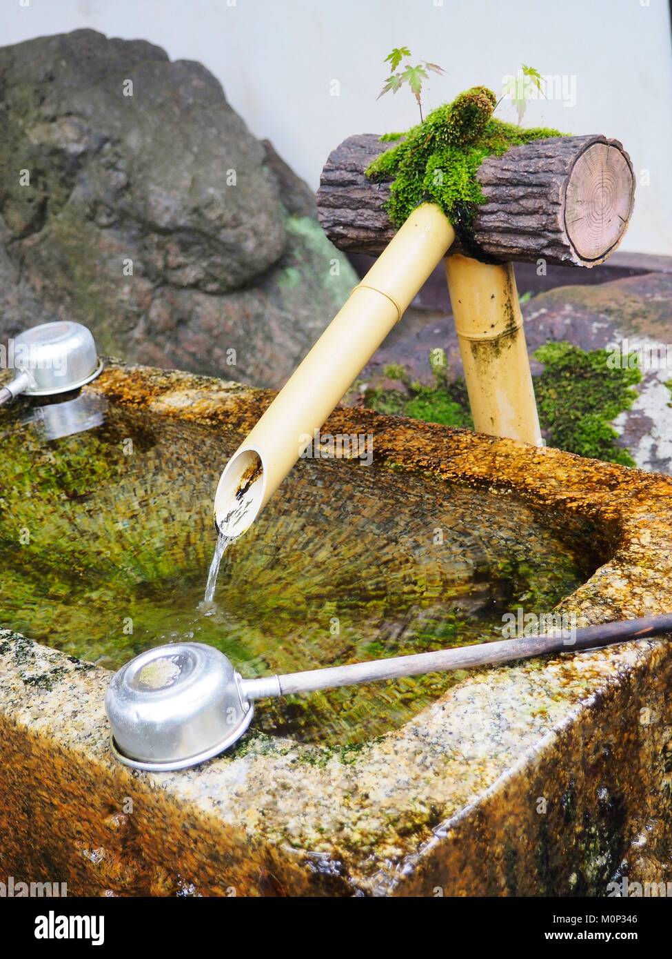 Giappone,Kyoto,Kurama,Tempio di Kurama Dera,Monastero Daitoku-Ji,Fontana di purificazione Foto Stock
