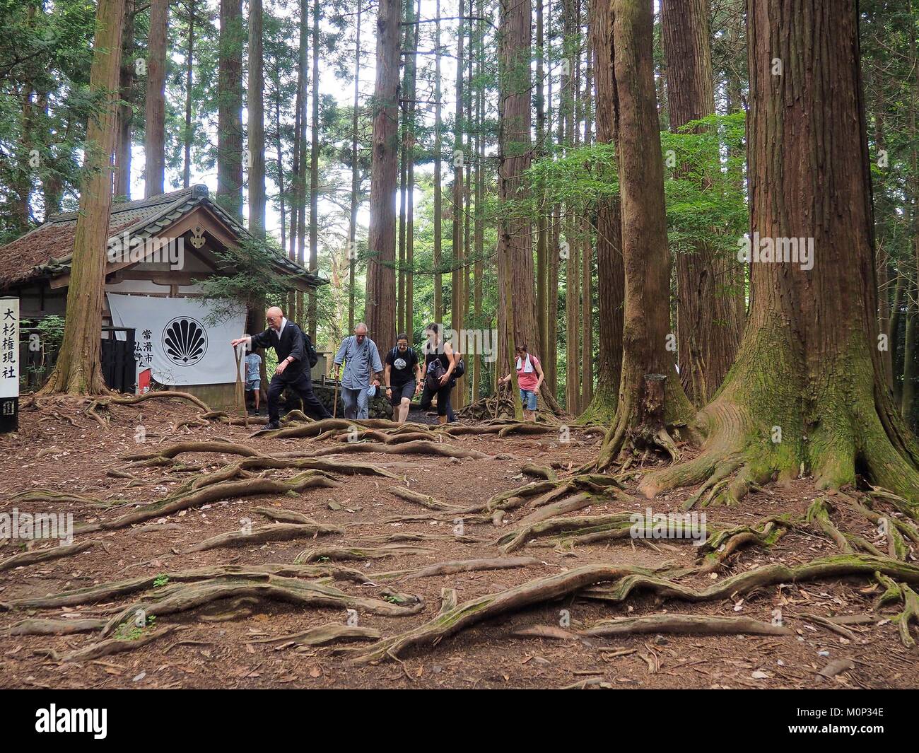 Giappone,Kyoto,Kurama,Tempio di Kurama Dera,nel percorso di montagna sacra Foto Stock