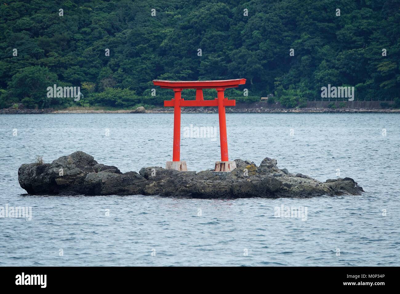 Giappone,Izu Peninsula,Shimoda,porto,tori Foto Stock