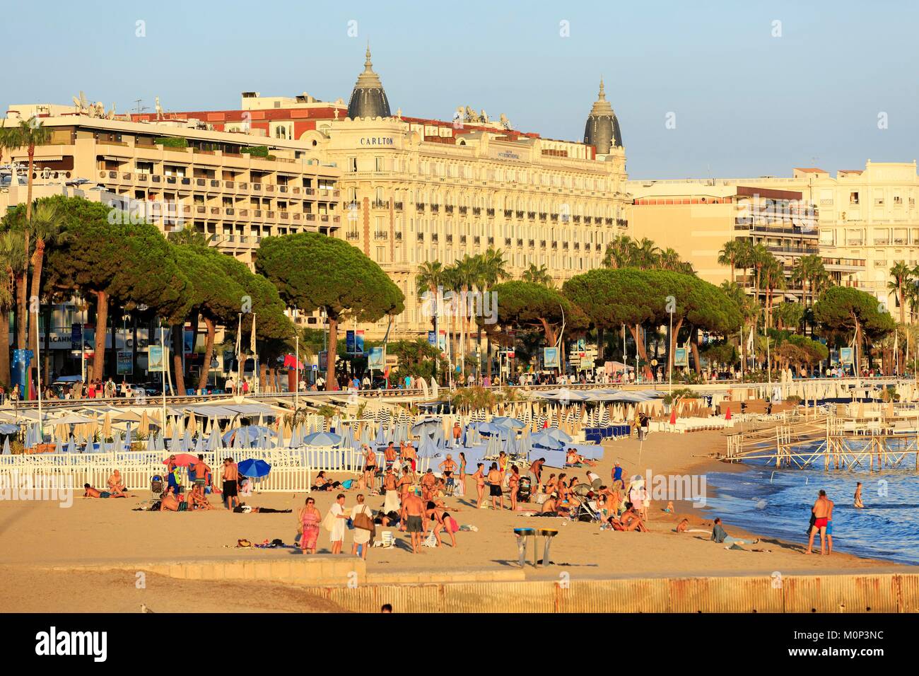 Francia,Alpes Maritimes,Cannes,spiaggia di La Croisette Foto Stock