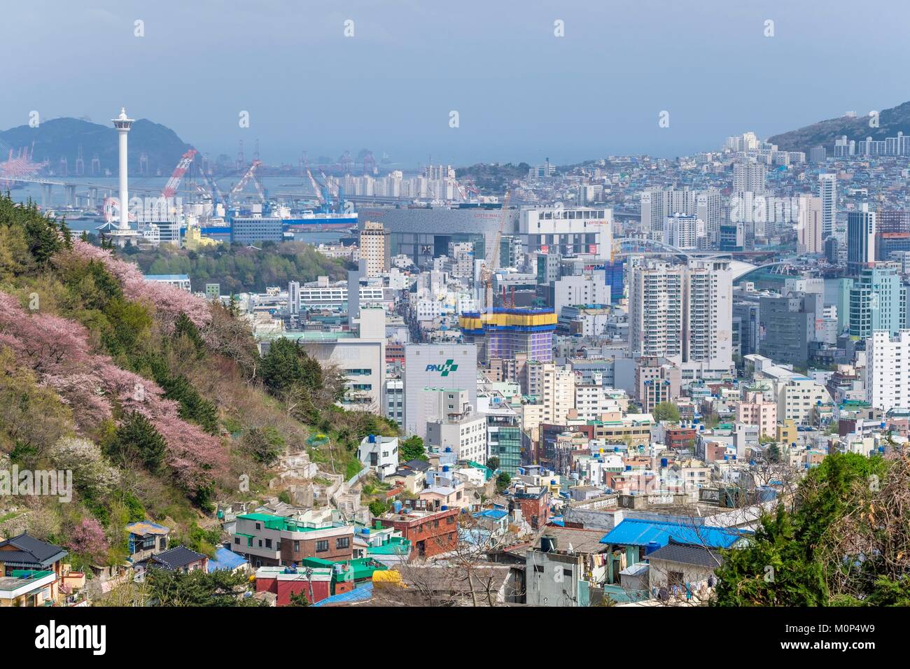 Corea del sud, sud Gyeongsang provincia,Busan,Saha-gu district,panorama sopra la città e la torre di Busan in background Foto Stock