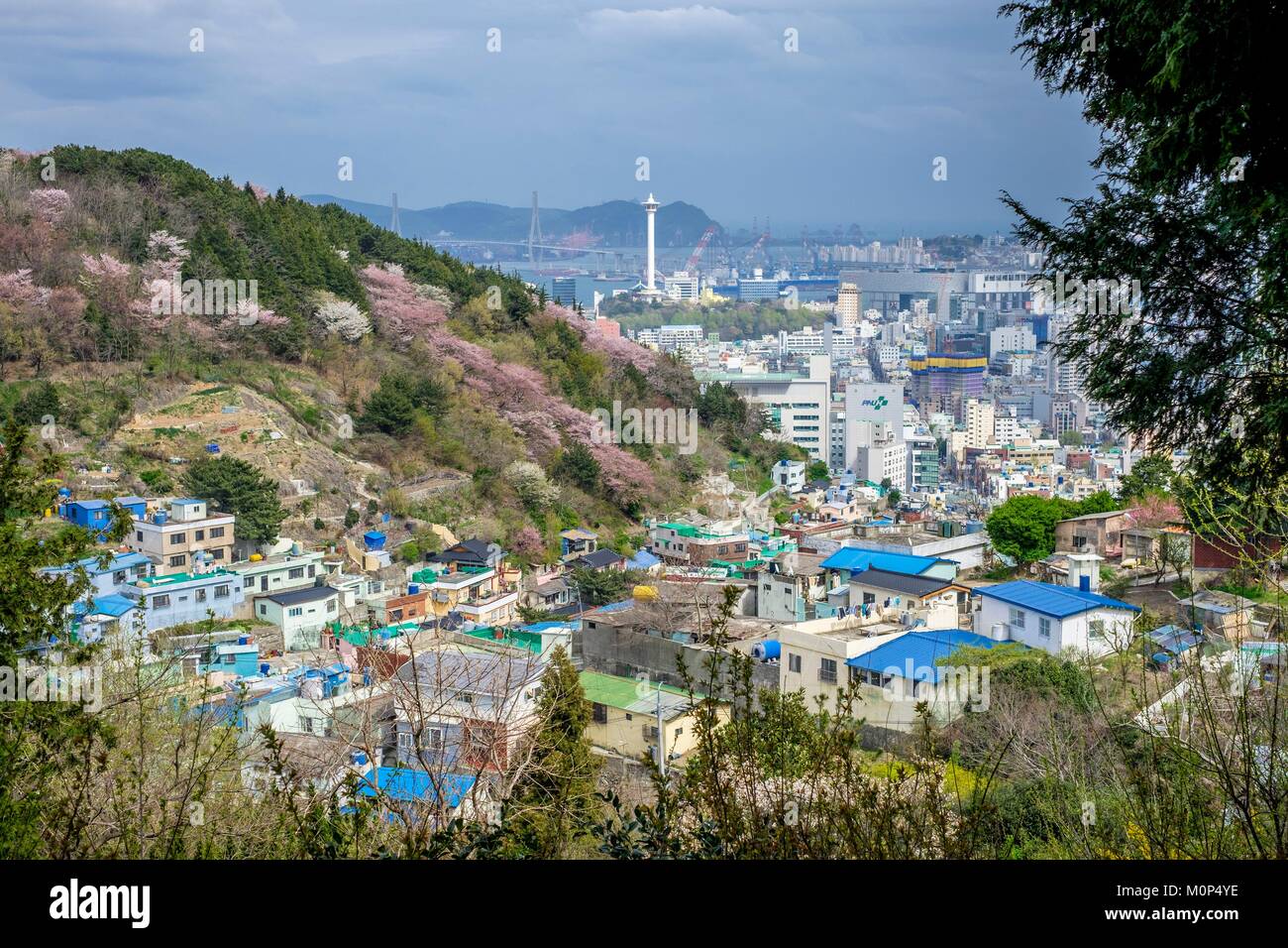 Corea del sud, sud Gyeongsang provincia,Busan,Saha-gu district,panorama sopra la città e la torre di Busan in background Foto Stock