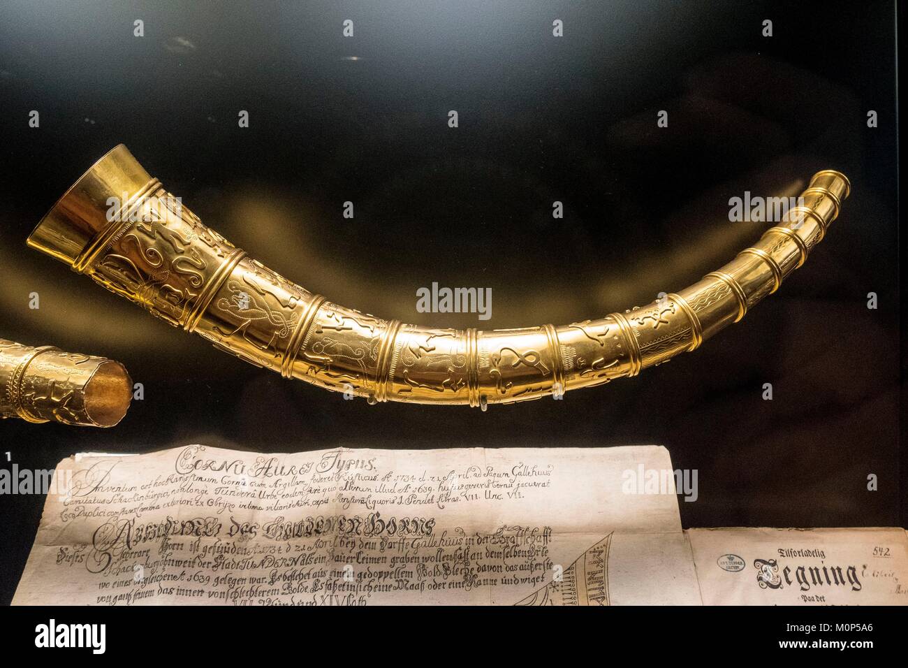 La Danimarca,Zelanda,Copenhagen,quartiere Tivoli,Museo Nazionale (Nayionalmuseet),Golden corna di Gallehus Foto Stock