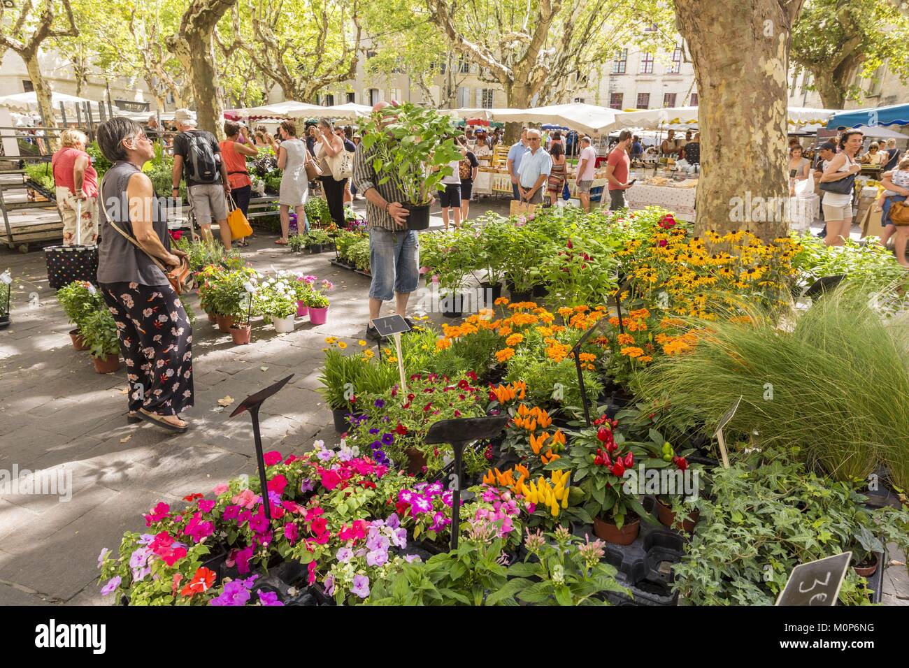 Francia,Gard,Pays d'Uzege,Uzes,giorno di mercato sulla Place aux Herbes Foto Stock