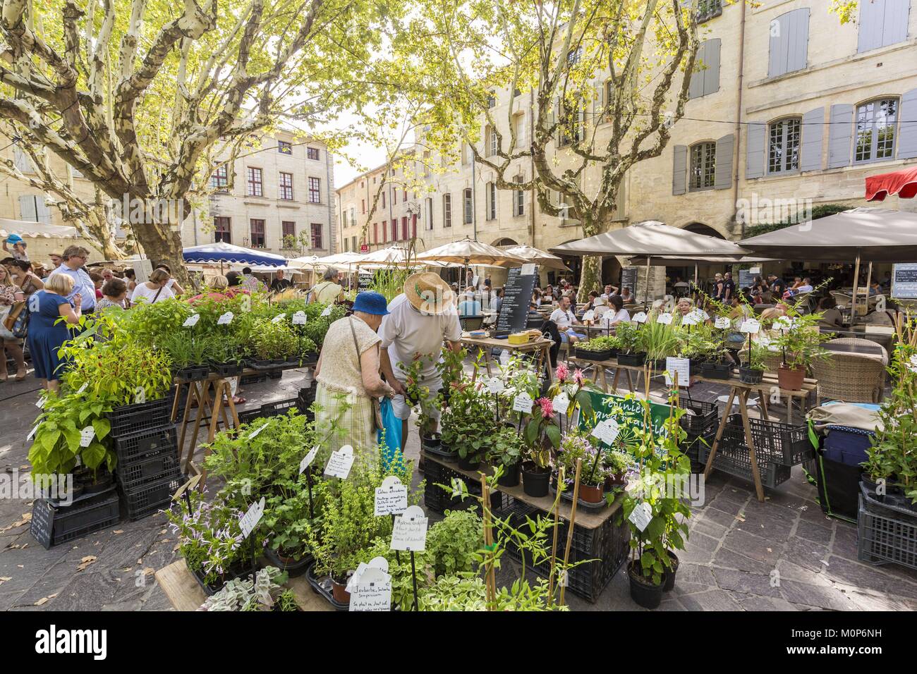 Francia,Gard,Pays d'Uzege,Uzes,giorno di mercato sulla Place aux Herbes Foto Stock