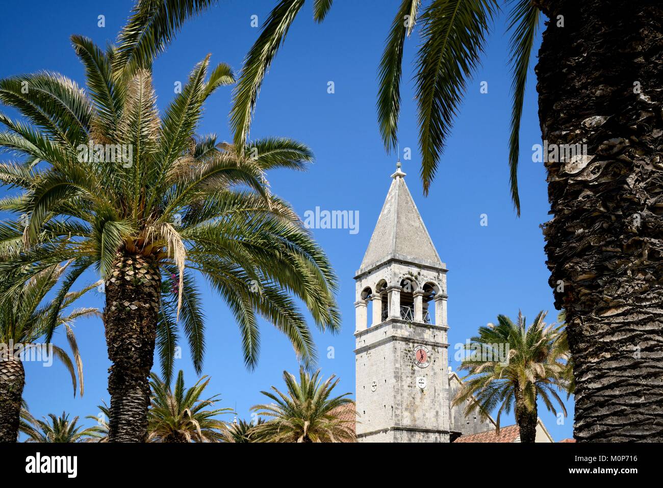 Croazia, Dalmazia,costa dalmata,Trogir,centro storico elencati come patrimonio mondiale dall UNESCO,torre campanaria di Sveti Dominik chiesa e palme Foto Stock