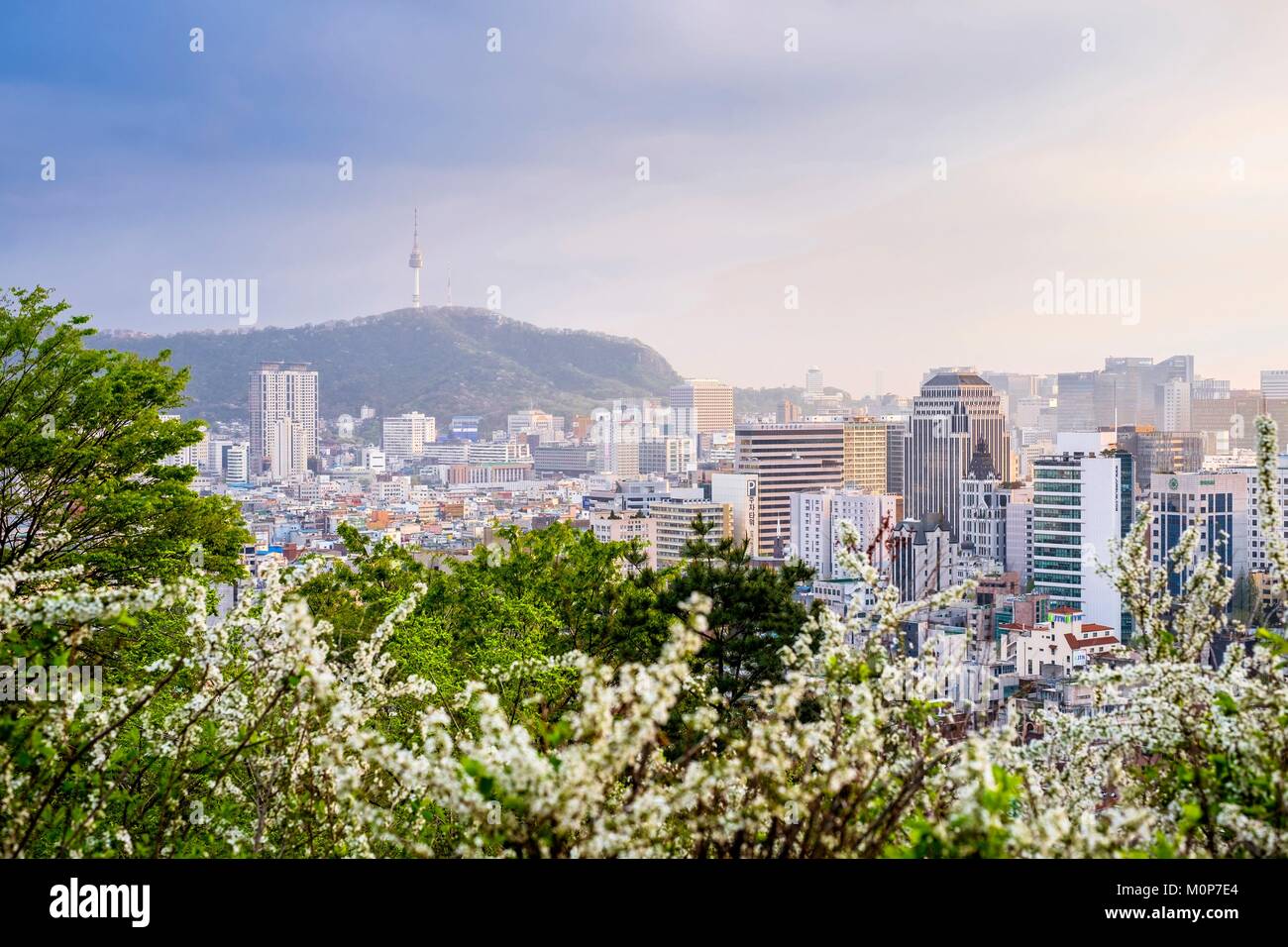 Corea del Sud,Seoul,Jung-gu district,panorama sulla città da Naksan Park e la Torre N Seoul alla sommità del Monte Namsan in background Foto Stock