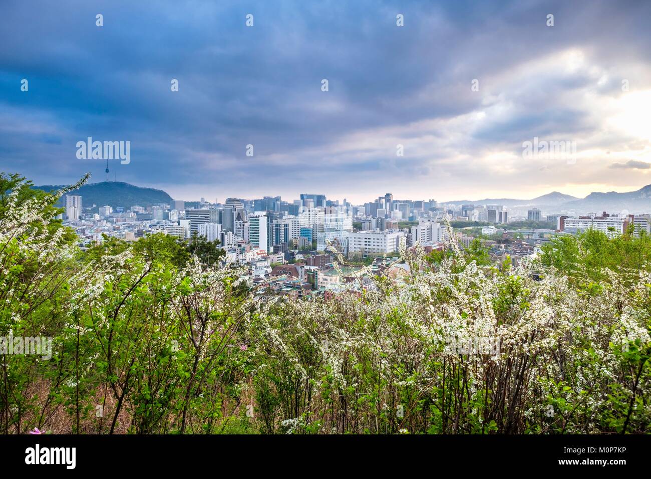 Corea del Sud,Seoul,Jung-gu district,panorama sulla città da Naksan Park e la Torre N Seoul alla sommità del Monte Namsan in background Foto Stock