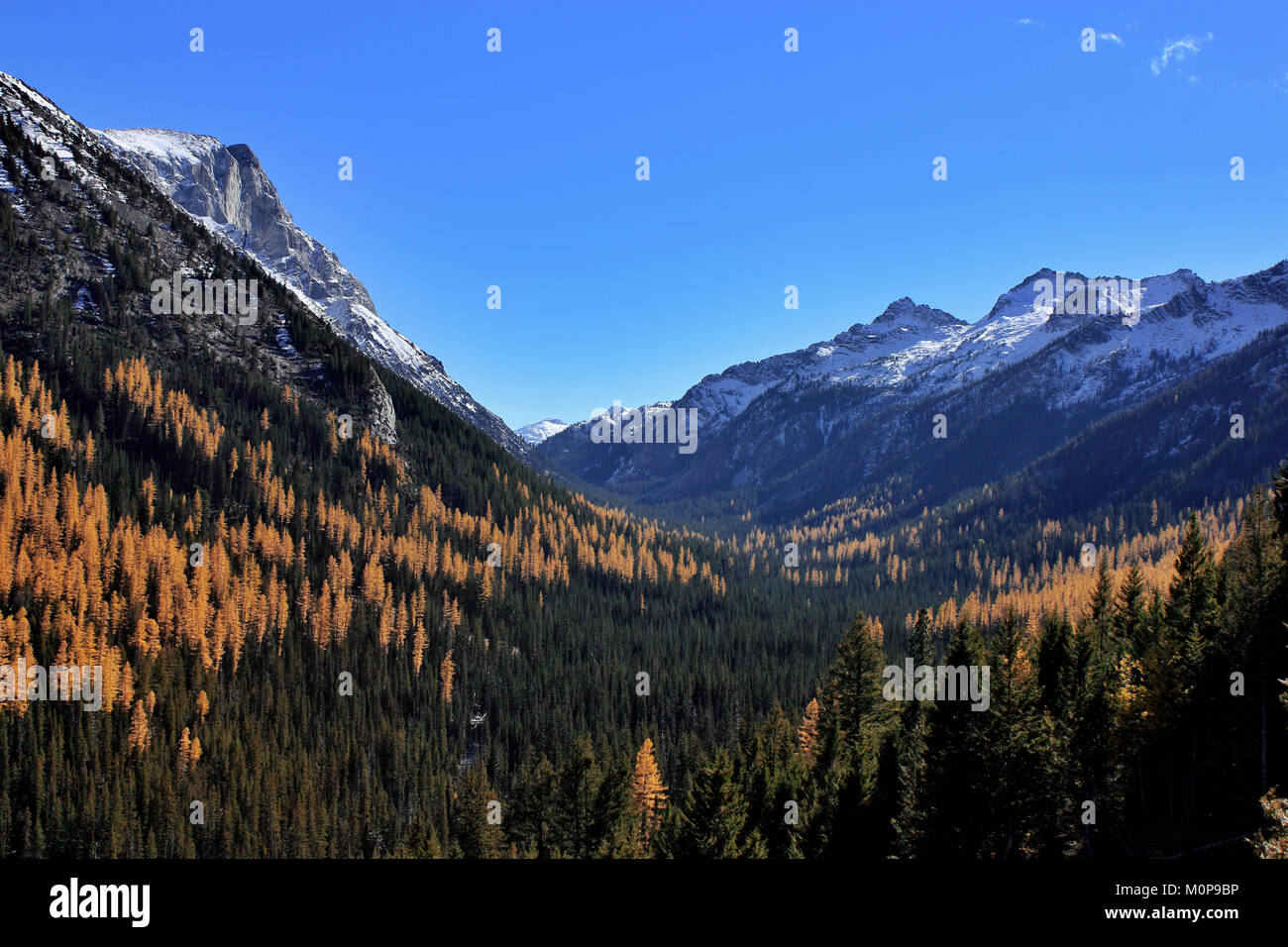 Vista di uragano superiore Creek e la Wallowa Mountains nella parte orientale della Oregon. Foto Stock