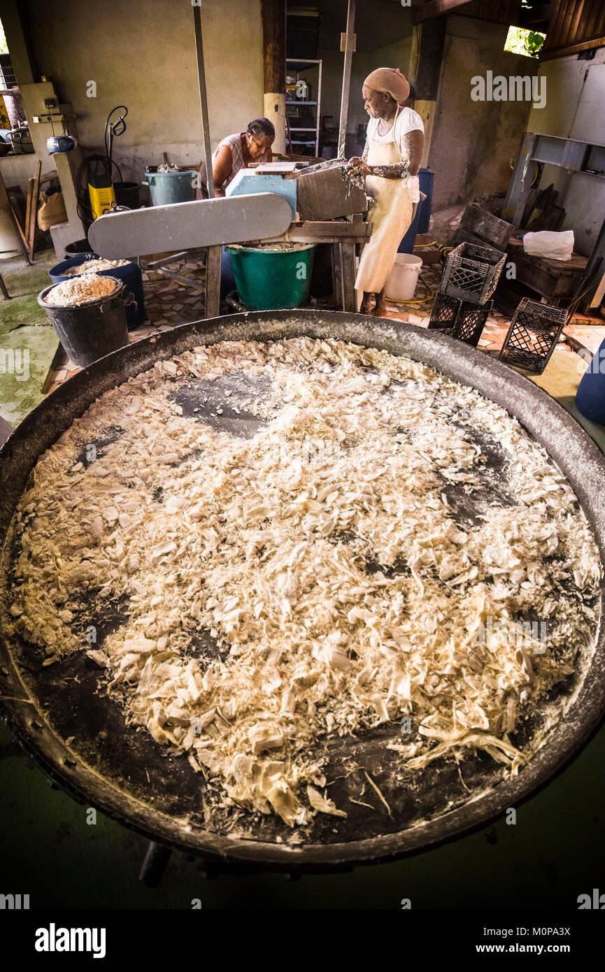 Francia,caraibi,Piccole Antille,Guadalupa,Basse-Terre,Capesterre-Belle-Eau,nell'kassaverie Germaine,una famiglia continua la tradizione della trasformazione della radice di manioca per renderlo commestibile in kassav (galette),ma anche nella farina,tapioka (amido cotto a legna Fuoco),moussache (sun-amido essiccato con proprietà terapeutiche),bucce di manioca sono recuperati dagli agricoltori,acqua (tossiche) usato per estrarre il moussache (amido) sarà recuperato per gli allevatori ad eliminare i parassiti sul bestiame,qui i tuberi vengono frantumati in un mulino Foto Stock