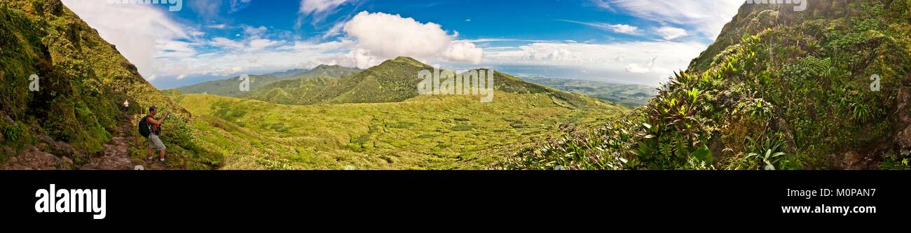 Francia,caraibi,Piccole Antille,Guadalupa,Basse-Terre e Saint-Claude,la vegetazione sui fianchi del vulcano Soufrière è notevole per la sua biodiversità,varia su tre livelli: la densa foresta pluviale fino a 1.100 metri,dense scrub umido tra 1.100 e 1.400 metri,composto da arbusti non supera i due metri di altezza (tra l'altro,Schefflera attenuata,Clusia mangle,Miconia coriacea),il vertice praterie da cui emergono bromeliaceae: Guzmania plumieri onnipresente,e soprattutto Pitcairnia bifrons,specie pioniere presente fino ai bordi delle bocche eruttive Foto Stock