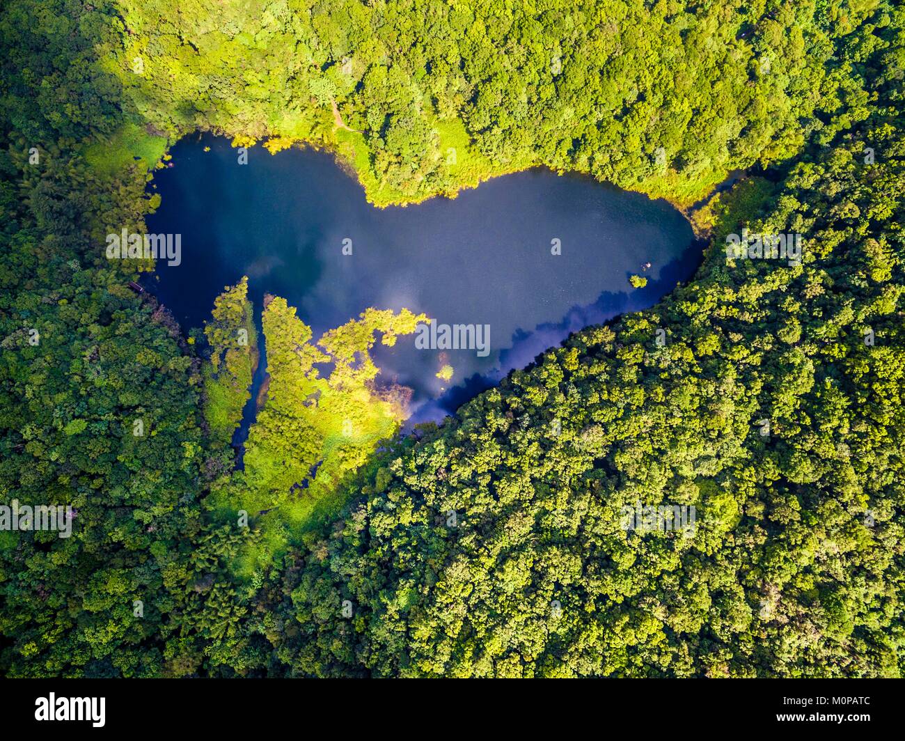 Francia,caraibi,Piccole Antille,Guadalupa,Basse-Terre,Guadalupa Parco Nazionale,Saint-Claude,vista aerea del Grand Etang rivelando la sua forma di cuore (vista aerea) Foto Stock