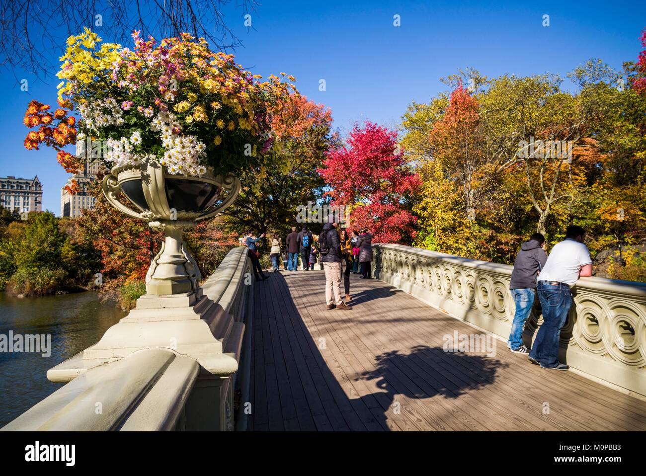 Stati Uniti,New York,New York City,Central Park,ponte di prua sul lago,autunno Foto Stock