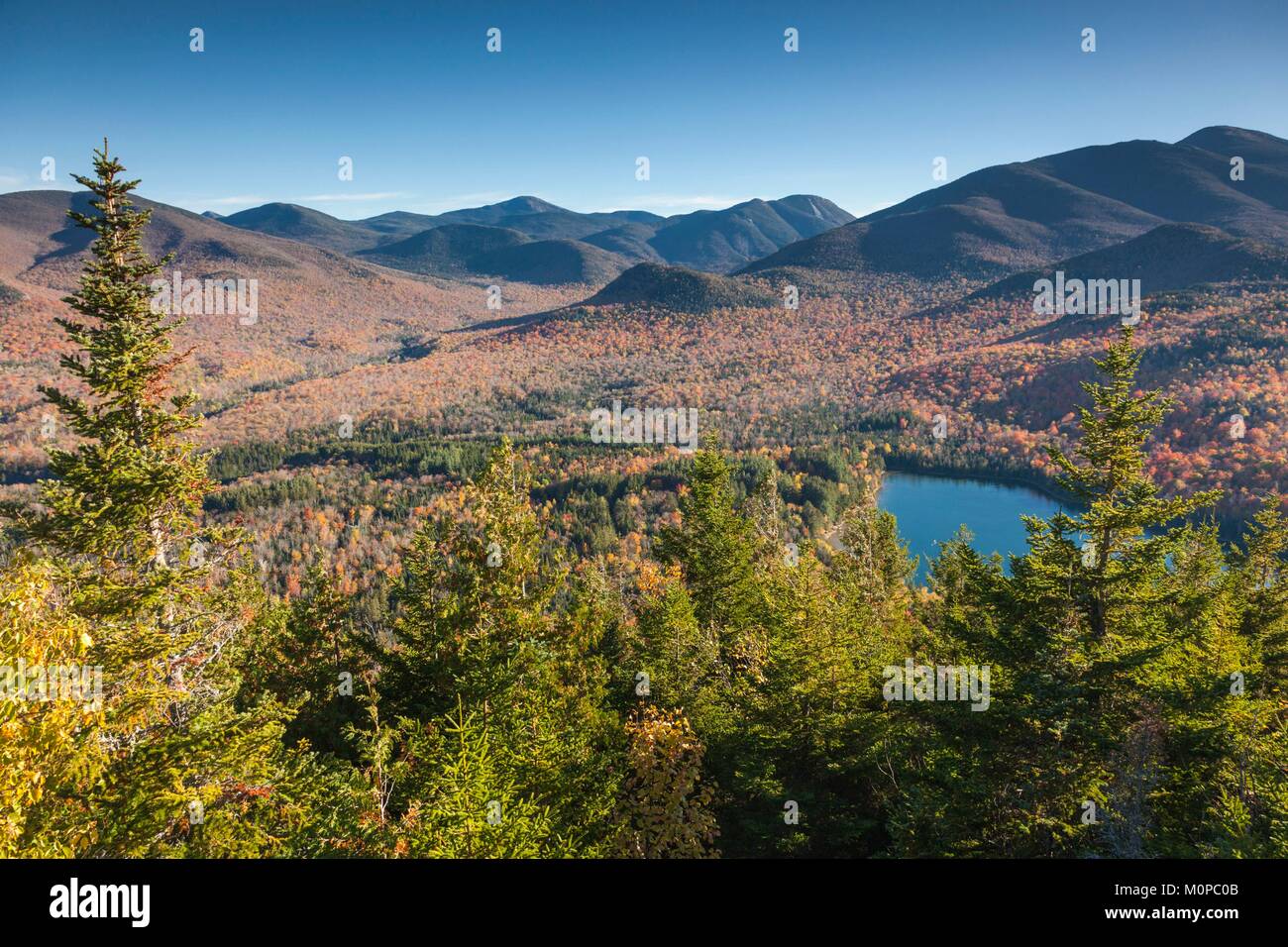 Stati Uniti,New York,Montagne Adirondack,Lake Placid,Mt. Jo,autunno Foto Stock