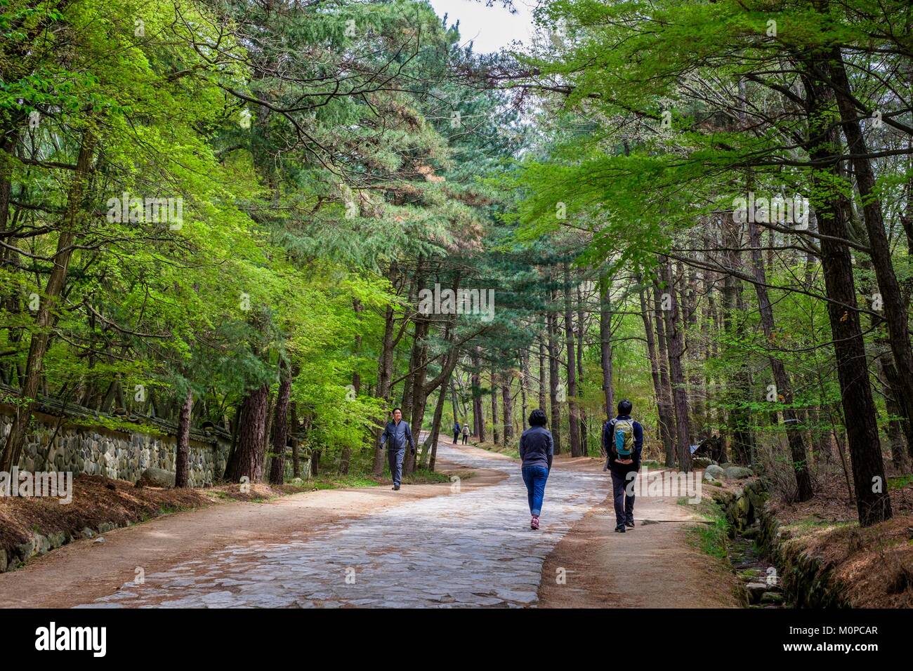 Corea del Sud,Nord Gyeongsang provincia,Gyeongju Parco Nazionale,Gyeongju,modo di Seokguram grotta stabiliti nel VIII secolo sulle pendici del monte Toham Foto Stock