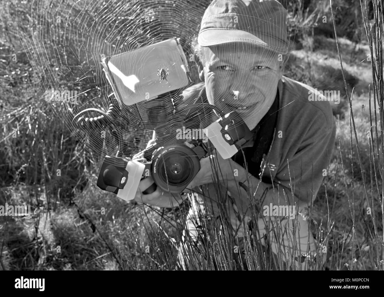 Francia,Morbihan,autoritratto del fotografo Philippe Blanchot rispettando un giardino europeo spider (Araneus diadematus) nel suo web Foto Stock