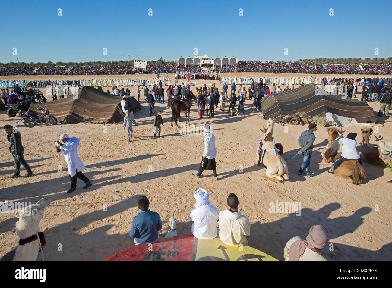 Tunisia,Douz,Sahara,festival internazionale del Sahara Douz,tenda e dromedario beduini,Amazigh,berberi Foto Stock