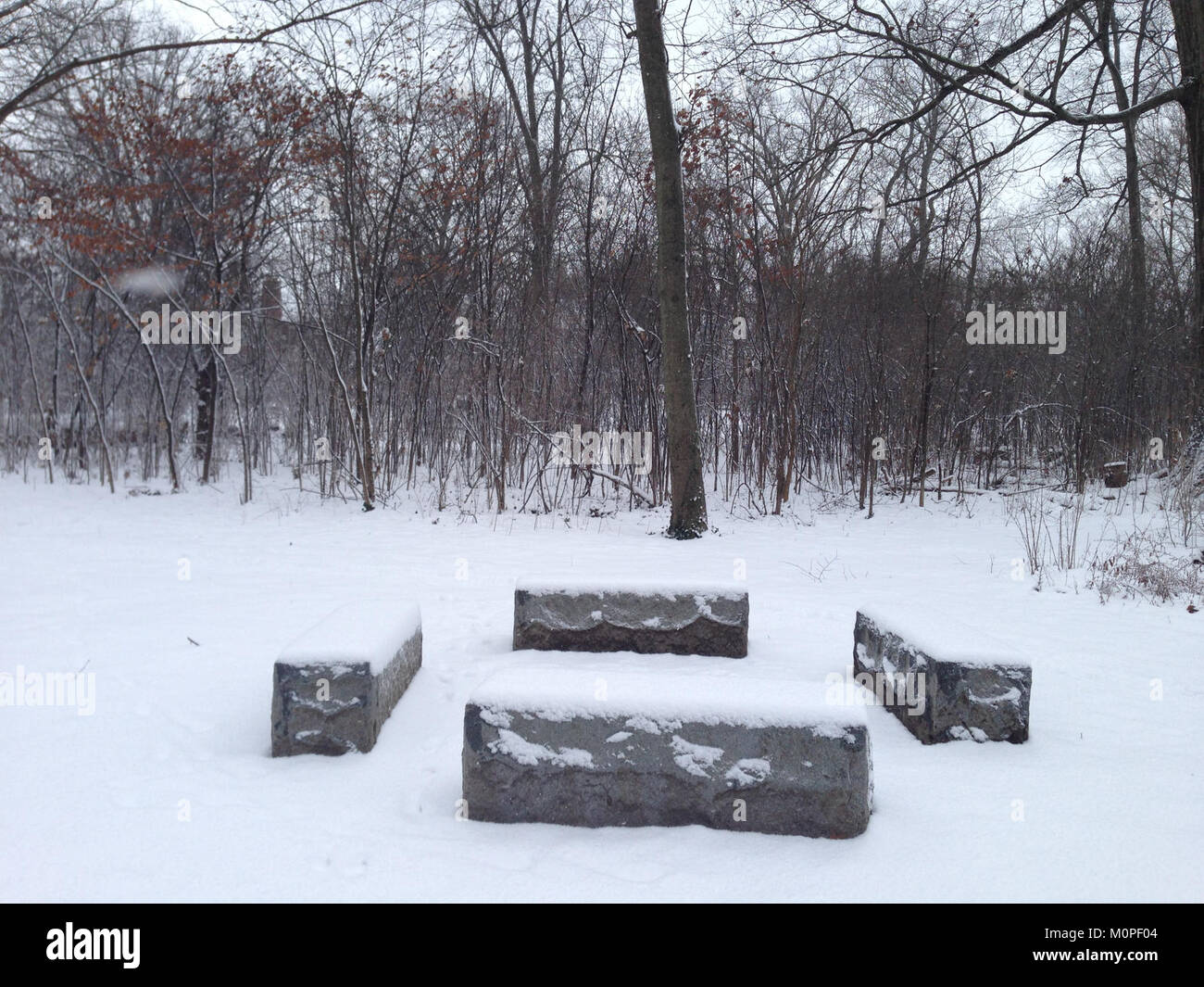 Una fotografia che mostra il Cardiff Woods Park, catturando la bellezza naturale e lo spazio ricreativo di Cardiff, evidenziando le sue aree verdi e le caratteristiche del parco. Foto Stock