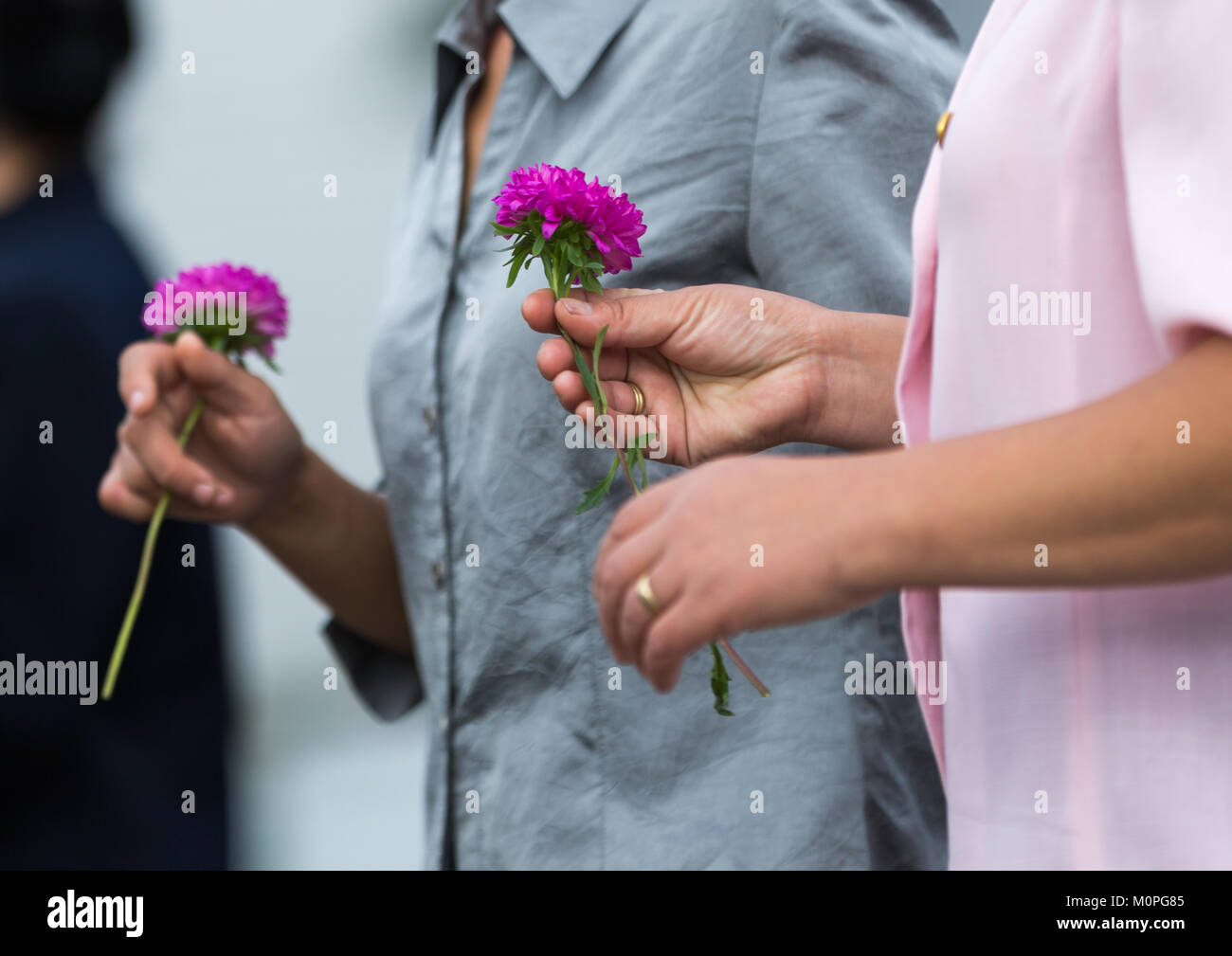 Nord Coreani portando fiori a pagare rispetto ai leader del Mansudae art studio, Provincia di Pyongan, Pyongyang, Corea del Nord Foto Stock