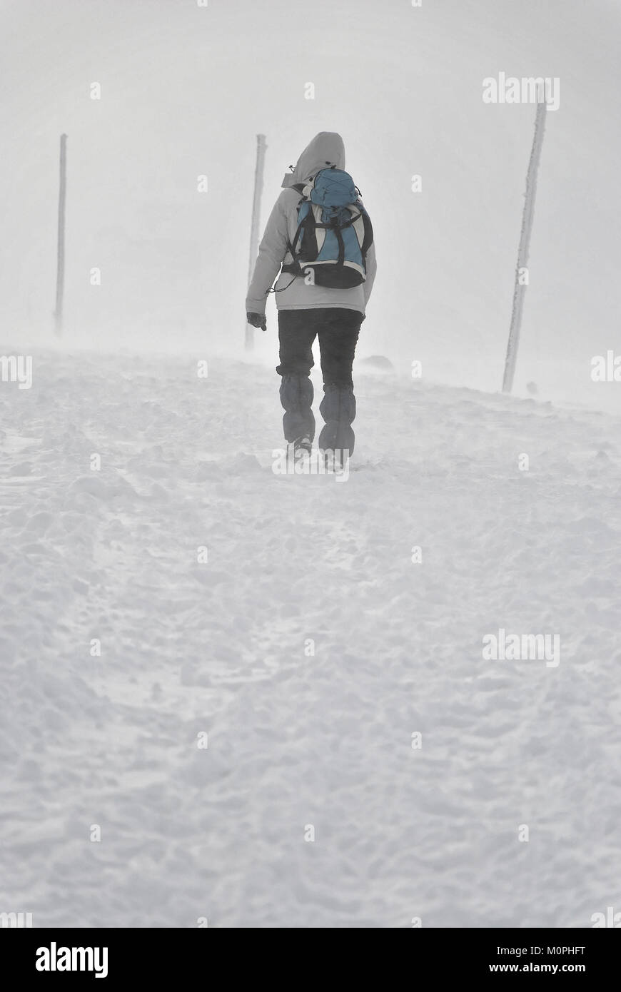 Escursionista femmina su un sentiero di montagna durante la bufera di neve Foto Stock