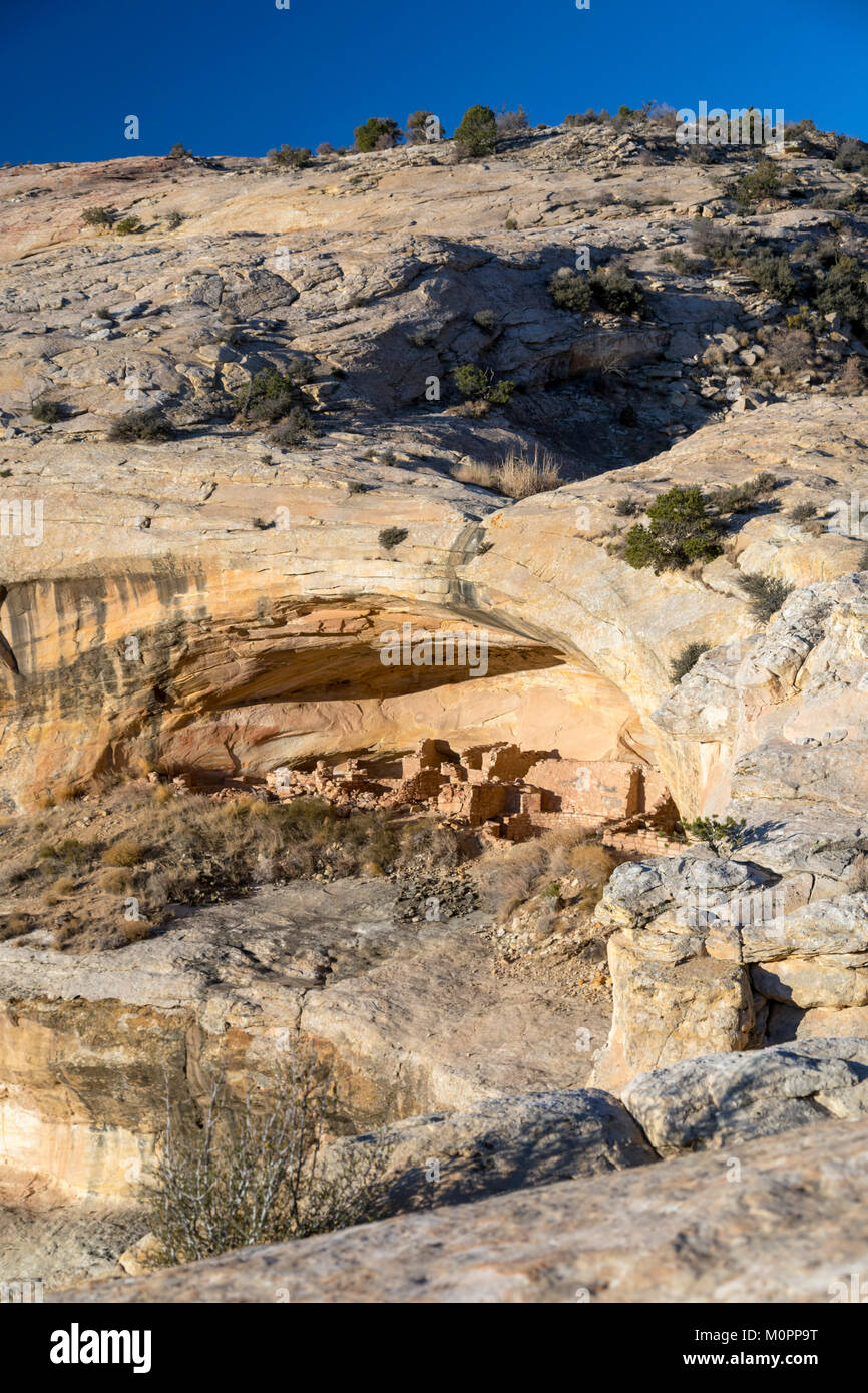 Blanding, Utah - Il maggiordomo lavare le rovine di orsi orecchie monumento nazionale. Porta le orecchie è un 1,35 milioni di acri di New Scenic 5 posti e la storica regione nel sud-est della U Foto Stock