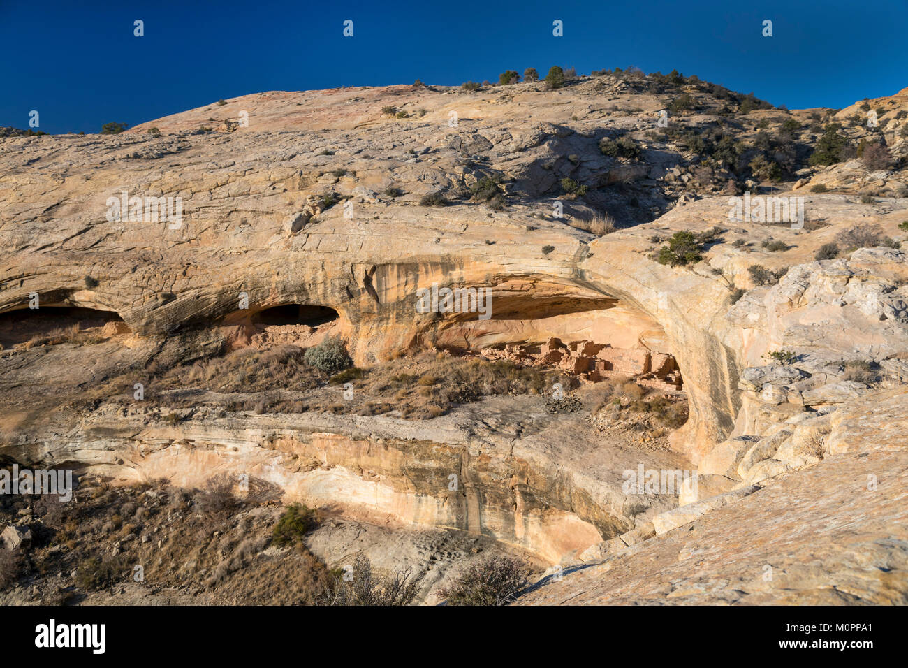 Blanding, Utah - Il maggiordomo lavare le rovine di orsi orecchie monumento nazionale. Porta le orecchie è un 1,35 milioni di acri di New Scenic 5 posti e la storica regione nel sud-est della U Foto Stock