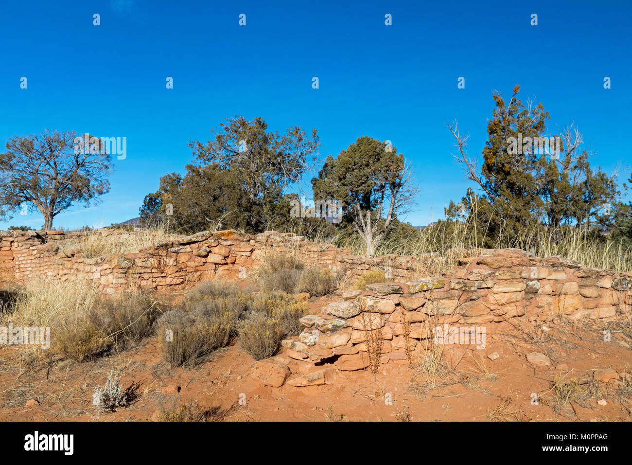 Blanding, Utah - Le Mule Canyon rovine nella porta orecchie monumento nazionale. Porta le orecchie è un 1,35 milioni di acri di New Scenic 5 posti e la storica regione nel sud-est della U Foto Stock