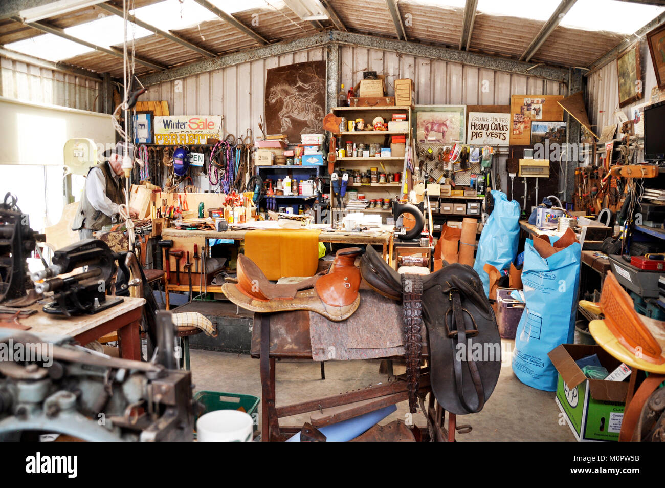 SENIOR l uomo nel suo capannone SADDELRY Foto Stock