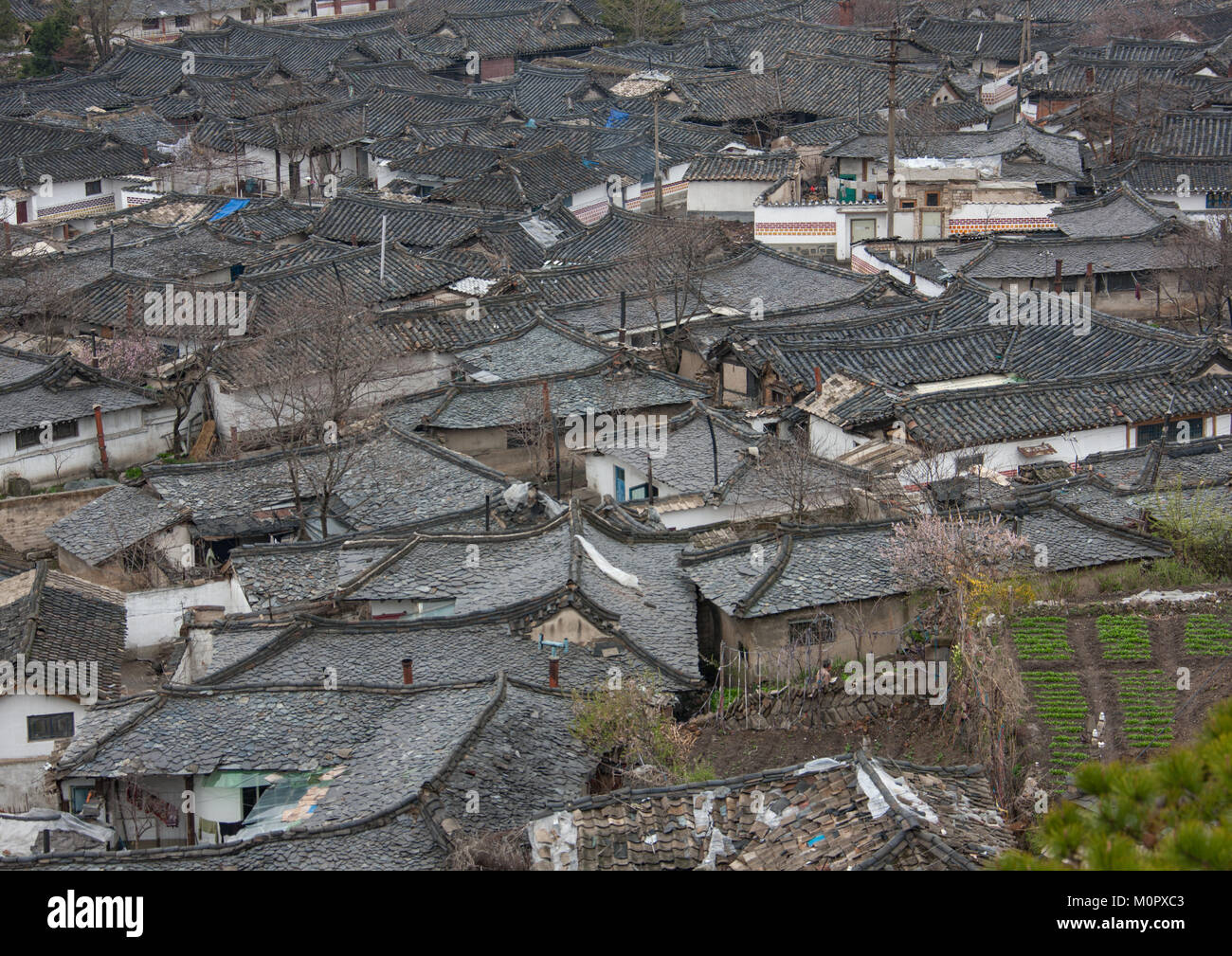 Elevato angolo di visione del coreano case nella città vecchia, Nord provincia Hwanghae, Kaesong, Corea del Nord Foto Stock