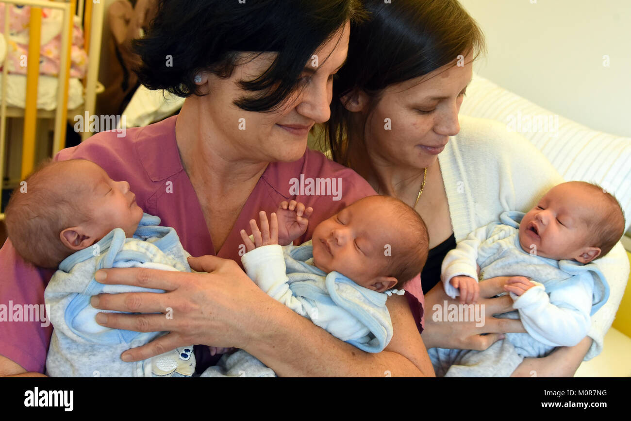 Il capo medico del reparto di neonatologia del Santa Elisabetta e Santa Barbara Ospedale, Dott.ssa Claudia Hess (L), e madre Rahila Afzahli tenendo in braccio i sette settimane triplette Arian, Elias e Ilia a Halle/Salle, Germania, 16 gennaio 2018. I tre ragazzi sono i primi figli di genitori afghani A. Ahmadi (25) e Rahila Afzali (26). Il giovane padre vive a Halle per sei anni e ora sta facendo un apprendistato come un saldatore. La madre ha vissuto a Halle per due anni. 2062 bambini nati nell'Elisabeth Hostpial durante l'anno passato, di cui 38 erano gemelli un Foto Stock