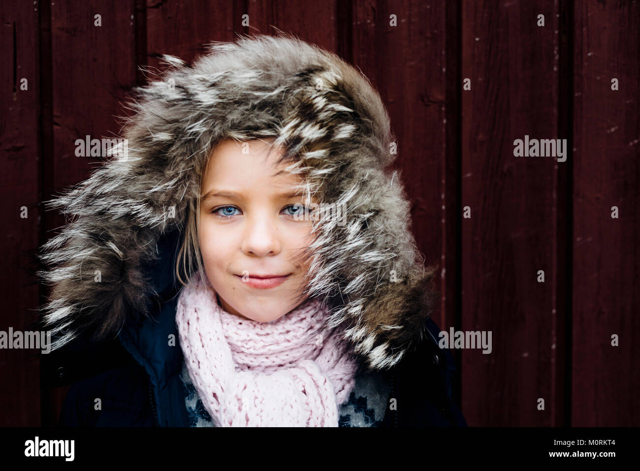 Tannenbaum, Weihnachtsbaumplantage, Sachsen, Deutschland, weihnachten, Weihnachtsbaum Foto Stock