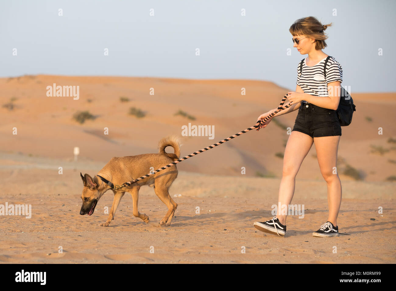 Dubai, Emirati Arabi Uniti - Ott 27, 2017: Cane e una persona fuori per una passeggiata nel deserto al tramonto. Foto Stock