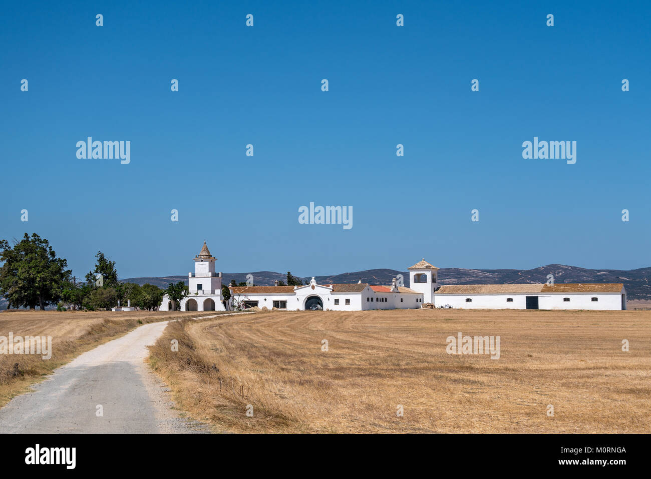 Finca rurale Tapatana estate in Andalusia, Spagna Foto Stock