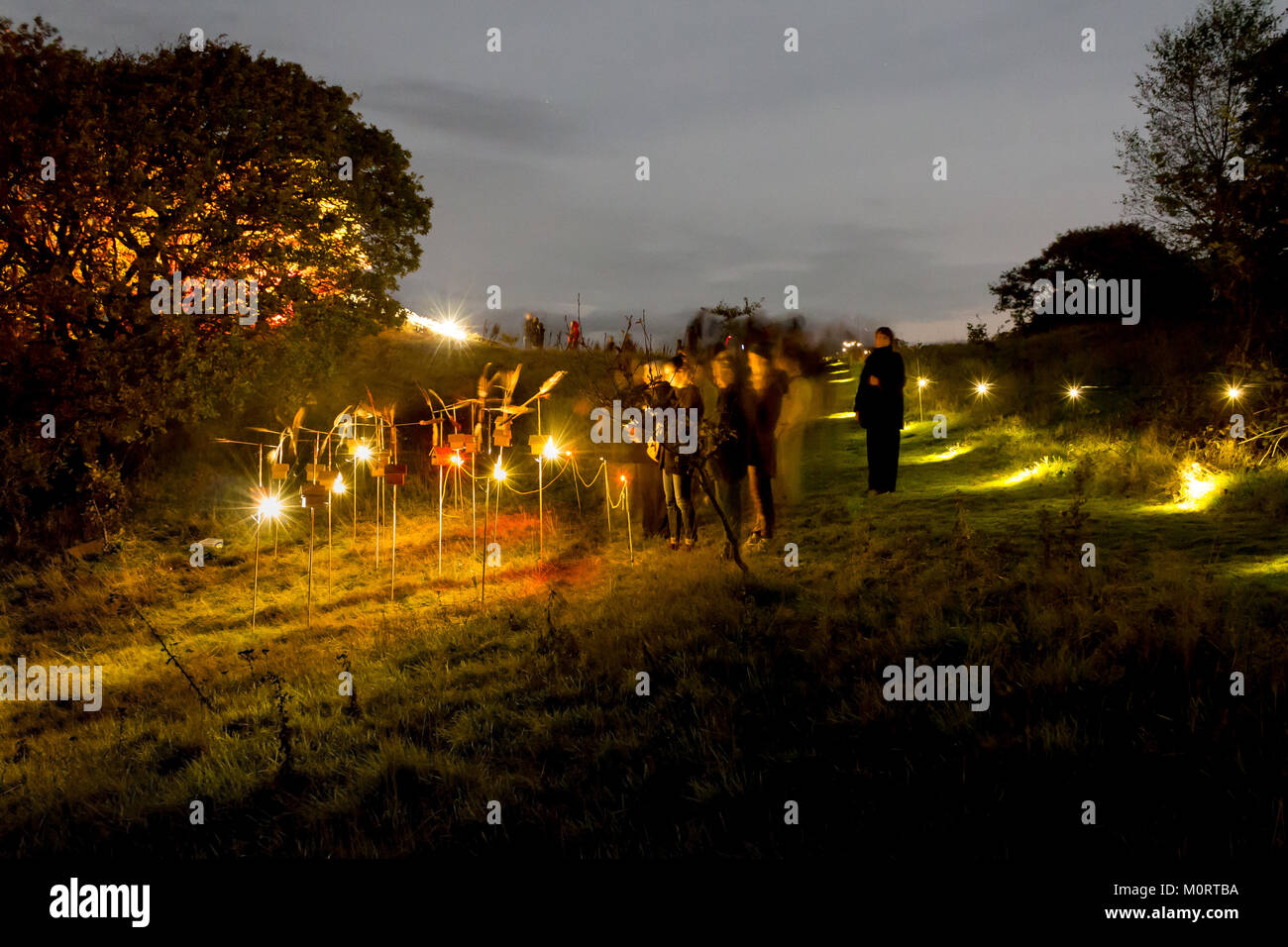 Artista contemporaneo Jony Easterby la scultura/pezzo di installazione Birdhouse gregge in per gli uccelli mostrano Ynyshir Foto Stock