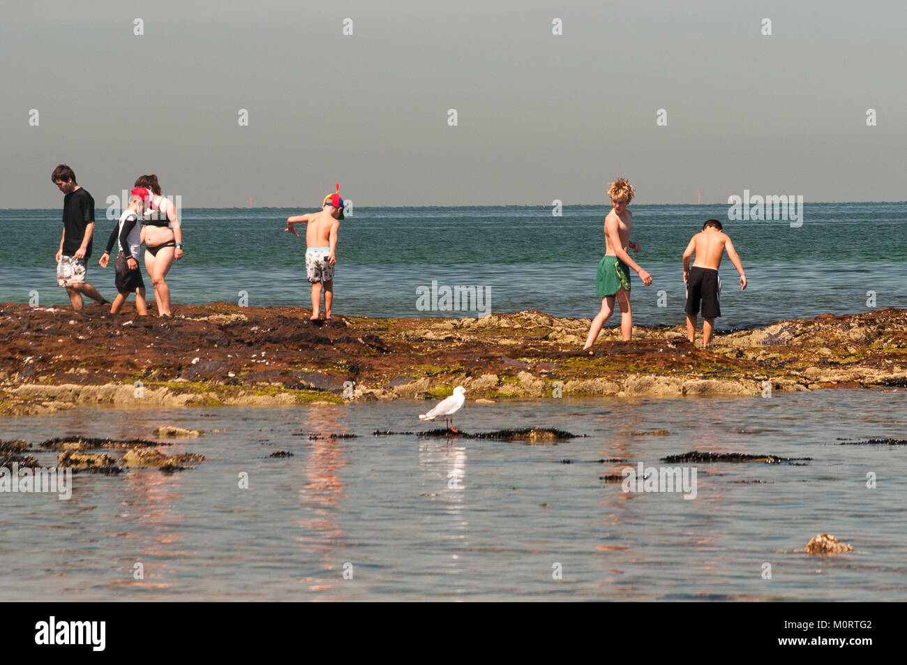 La Bassa marea a Dendy Street Beach a Brighton sulla Port Phillip Bay, Melbourne, Australia Foto Stock