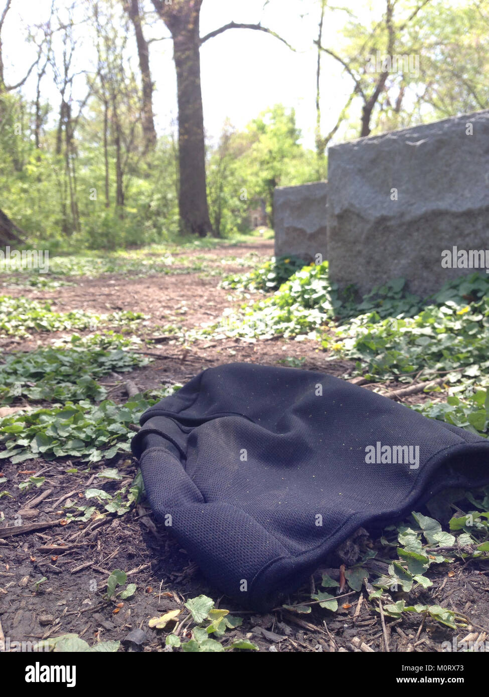 Cardiff Woods Park, un parco pubblico situato a Cardiff, Galles, noto per il suo ambiente naturale, lo spazio ricreativo e le aree verdi ad uso pubblico. Foto Stock