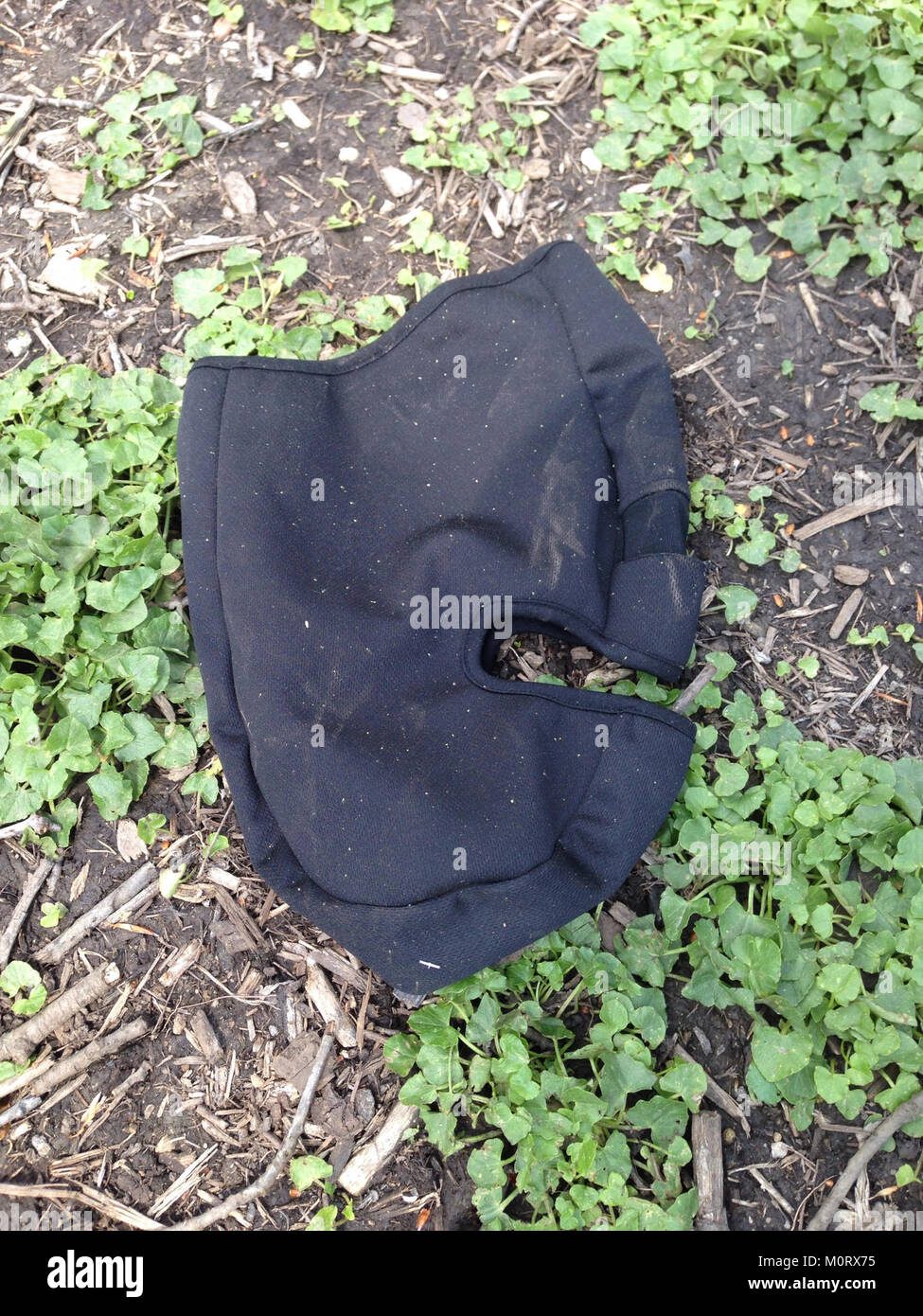 Il Cardiff Woods Park, situato a Cardiff, Galles, è un parco pubblico noto per le sue bellezze naturali e le aree ricreative. Il parco offre sentieri, spazi verdi e viste panoramiche, rendendolo una destinazione popolare per le attività all'aperto e il relax. Foto Stock