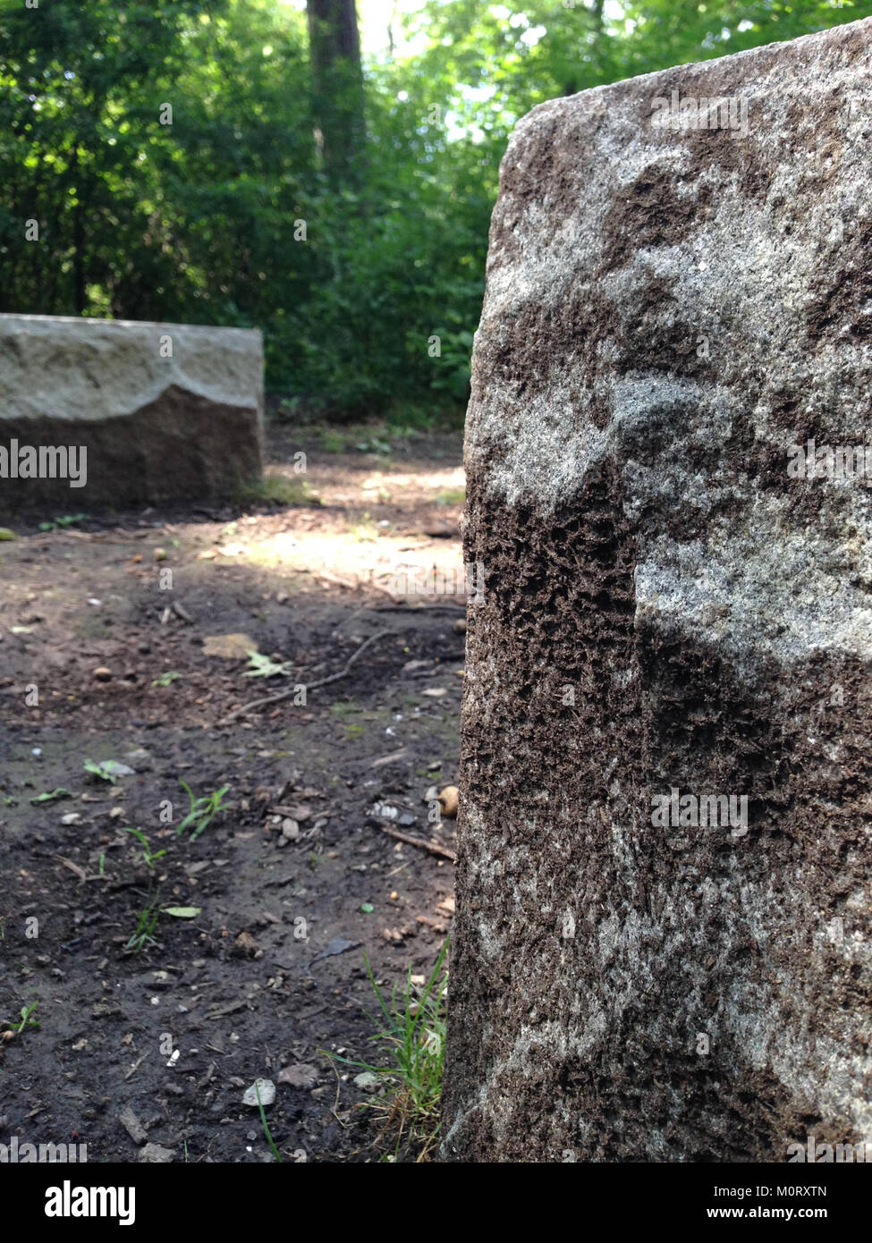 Il Cardiff Woods Park è un'area ricreativa naturale situata a Cardiff, che offre paesaggi panoramici e attività all'aperto, contribuendo alla conservazione dell'ambiente locale. Foto Stock
