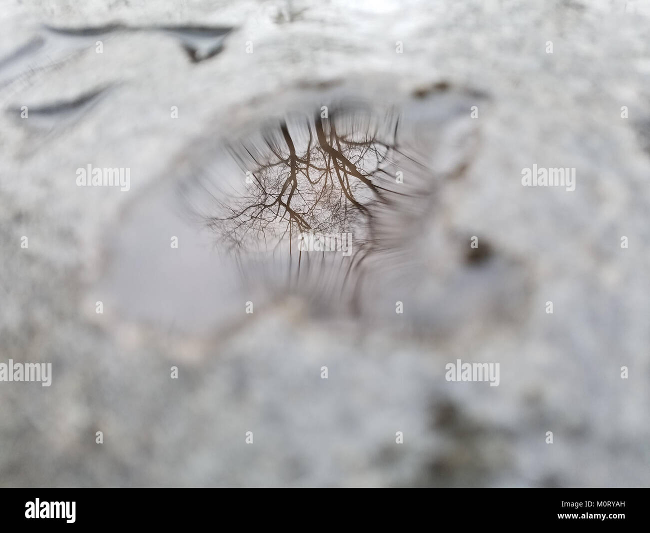 Una fotografia del Cardiff Woods Park, situato a Cardiff, che mostra la sua bellezza naturale e le sue aree ricreative. Il parco è uno spazio verde locale popolare per attività all'aperto e passeggiate nella natura. Foto Stock