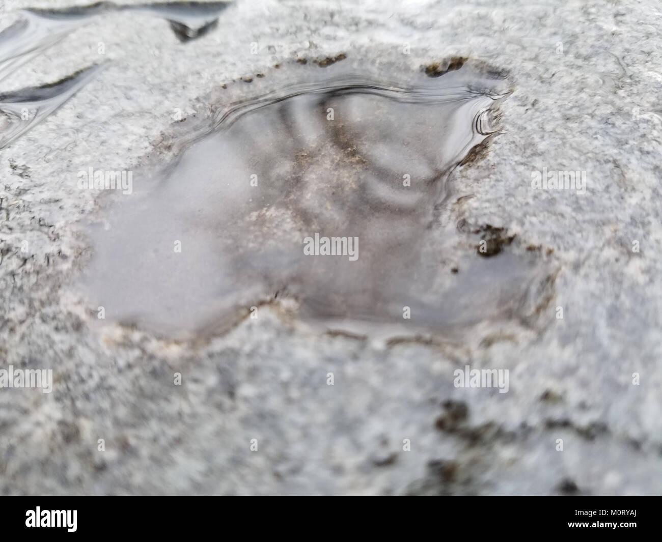 Il Cardiff Woods Park è uno spazio verde pubblico di Cardiff, che offre ai visitatori un ambiente naturale per attività all'aperto. Questa immagine mette in evidenza il paesaggio panoramico del parco. Foto Stock