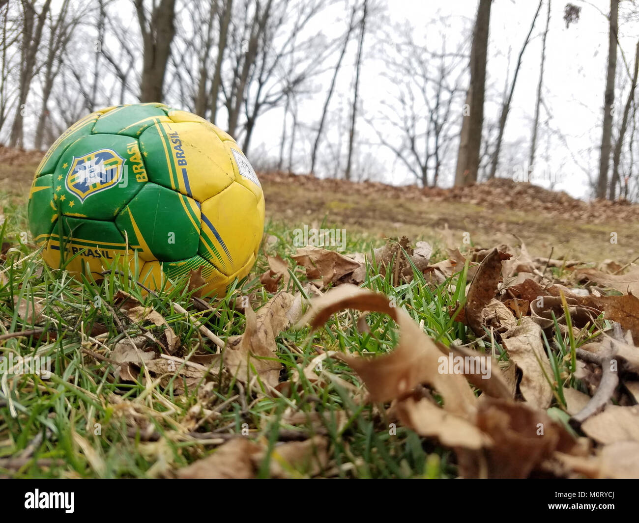 Cardiff Woods Park, un parco pubblico che offre spazi verdi, aree boscose e opportunità ricreative, situato in un ambiente naturale. Foto Stock