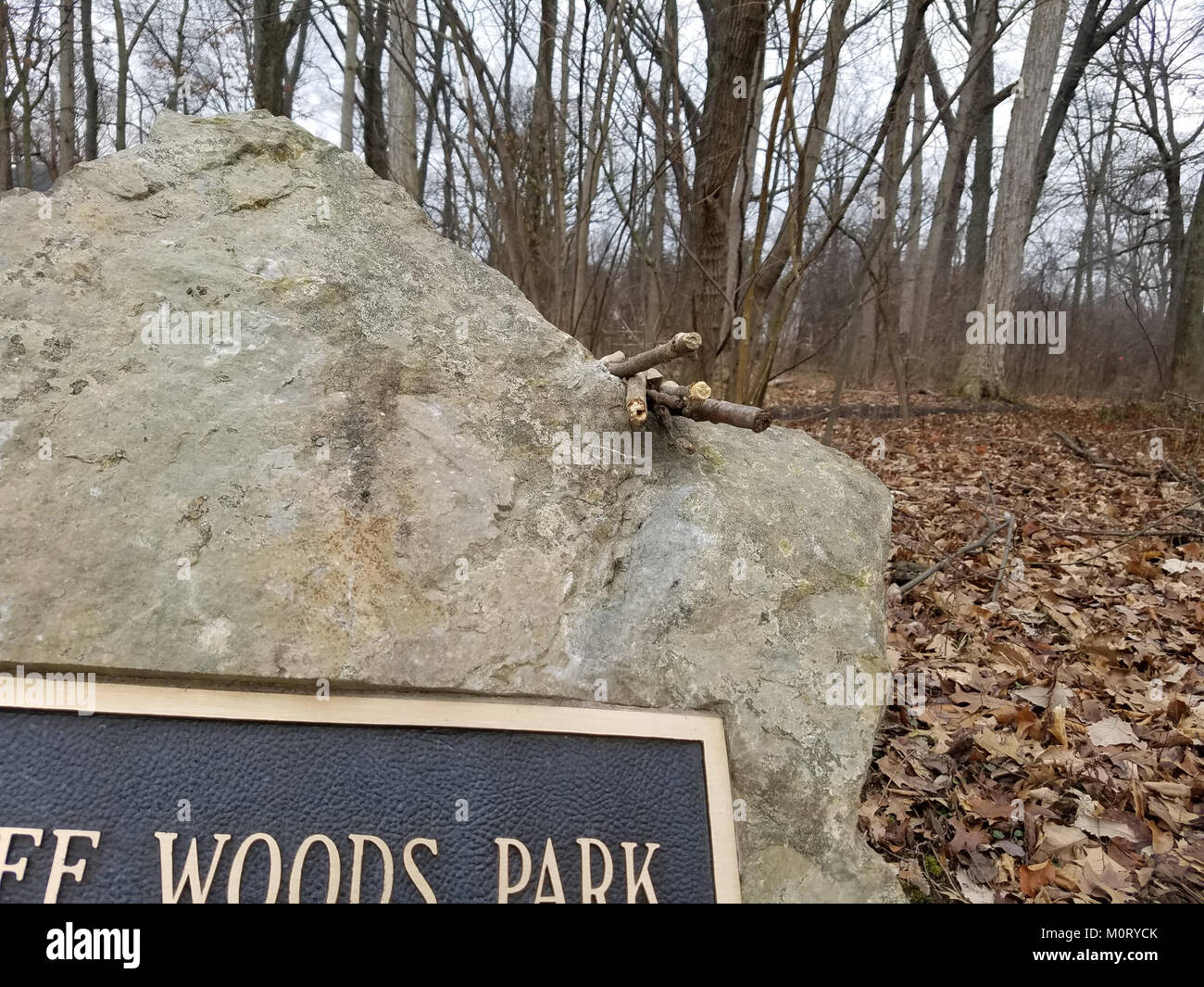 Cardiff Woods Park è un parco pubblico situato a Cardiff, Galles. È conosciuta per i suoi spazi verdi, i sentieri per passeggiate e le aree ricreative, che offrono attività all'aperto per la comunità locale. Foto Stock