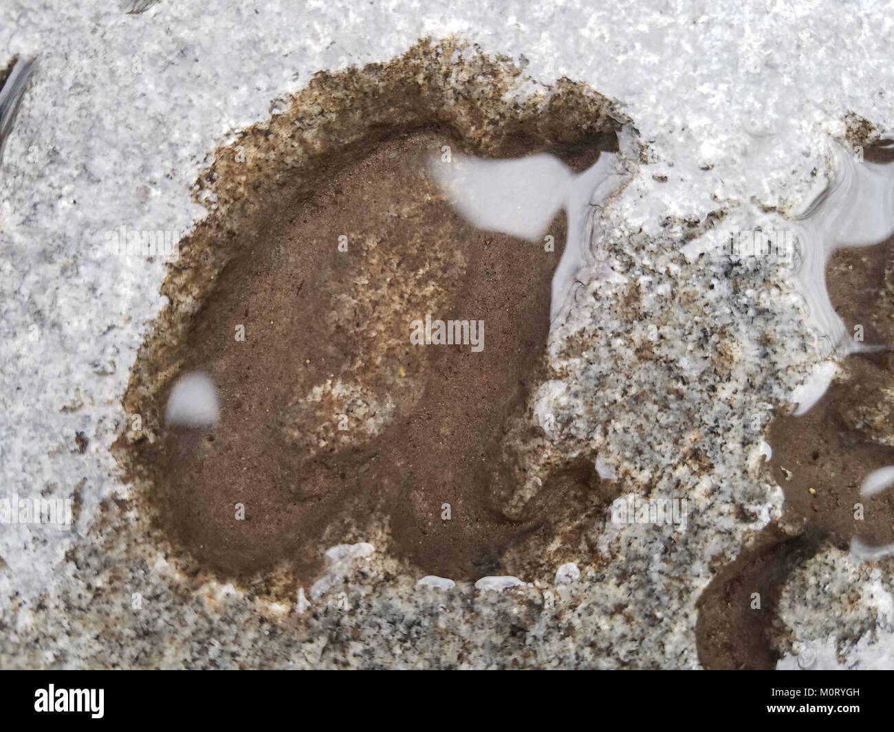 Il Cardiff Woods Park è un parco pubblico di Cardiff, noto per i suoi spazi verdi e le sue bellezze naturali. Il parco offre un'area ricreativa per i visitatori, con sentieri e viste panoramiche, contribuendo alla conservazione della natura urbana. Foto Stock