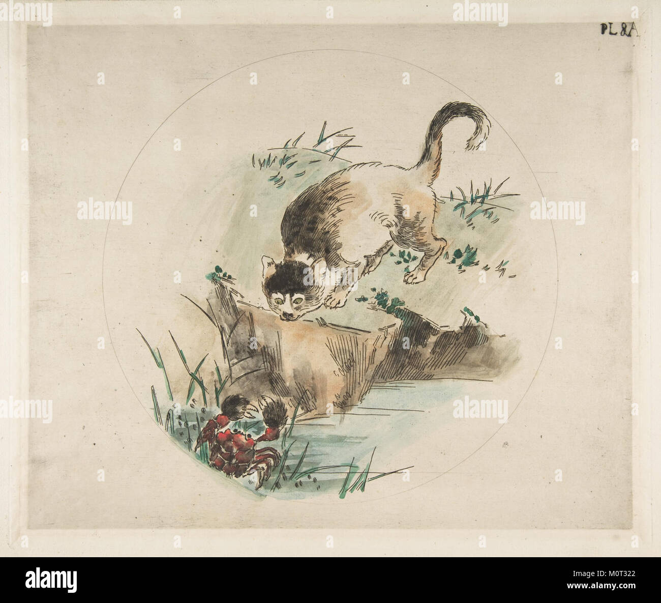 "Gatto e granchio" è un design decorativo per un piatto che mostra una rappresentazione artistica di un gatto e un granchio. Questo oggetto decorativo rappresenta la fusione di elementi naturali e arte nel design in ceramica. Foto Stock