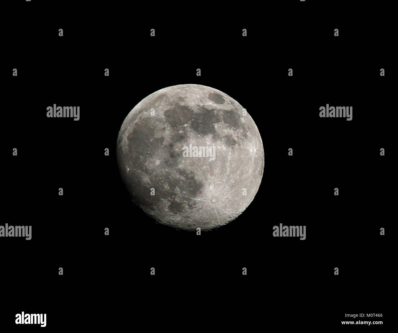Questa fotografia, scattata con un obiettivo Canon 300mm f/4 IS e un extender 1,4x, è stata catturata a mano a Carrizo Plain, California, il 22 novembre 2007. L'immagine mostra l'uso di teleobiettivo per catturare soggetti distanti, in particolare nella fotografia di paesaggi o fauna selvatica. Foto Stock