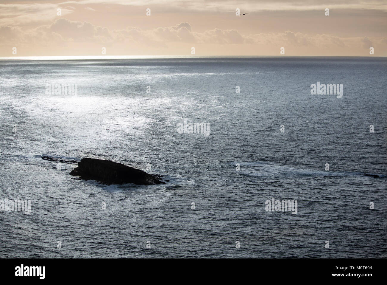 Cape Foulweather è un promontorio prominente lungo la costa dell'Oregon. Conosciuto per le sue scogliere spettacolari e il mare agitato, offre vedute mozzafiato dell'Oceano Pacifico ed è un notevole punto di riferimento naturale nella regione. Foto Stock