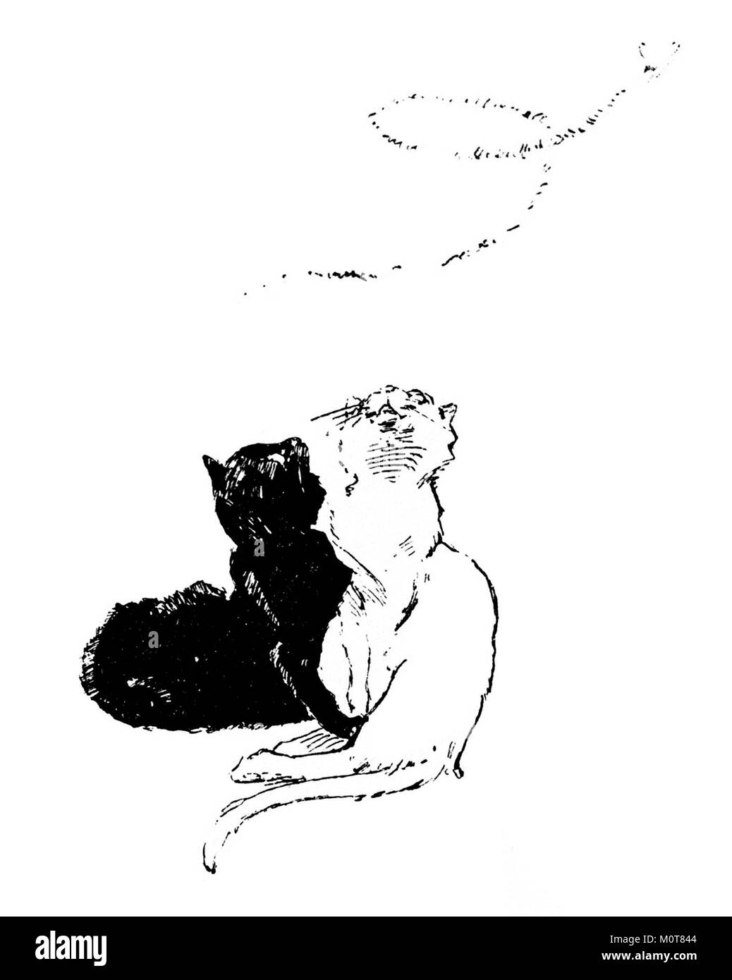 Questa opera intitolata *Cats - Pictures Without Words* fa parte della collezione del Metropolitan Museum of Art Il pezzo si concentra sulla rappresentazione artistica dei gatti, combinando l'arte visiva con la narrazione silenziosa per trasmettere l'essenza della natura felina. Foto Stock