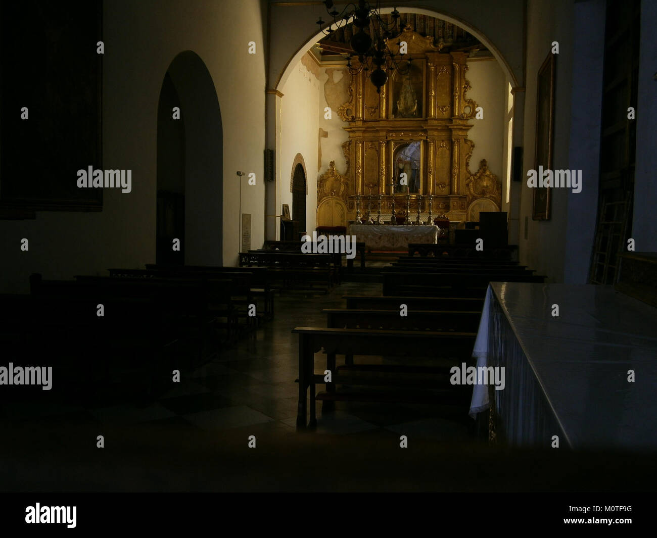 L'interno della cattedrale di Caracas è rinomato per la sua grandezza architettonica, caratterizzata da intricati elementi di design che riflettono la storia religiosa e culturale del Venezuela. Foto Stock