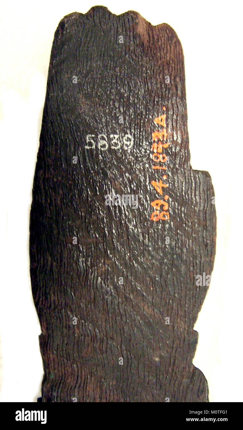 Queste castane, catalogate come MET midp89.4.1843(3), sono strumenti a percussione tipicamente utilizzati nella danza e nella musica spagnola. Sono realizzati in legno o guscio e si giocano facendoli battere insieme. Foto Stock
