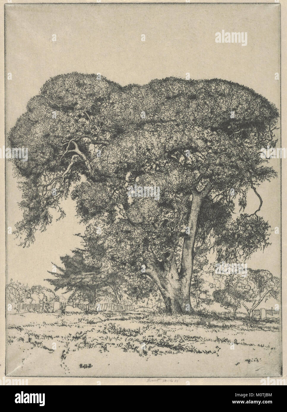 Un albero di quercia vivo situato in un cimitero, presente nella collezione del Metropolitan Museum of Art, simboleggia la resistenza e il patrimonio culturale, mostrando la bellezza naturale e il significato storico di tali paesaggi. Foto Stock